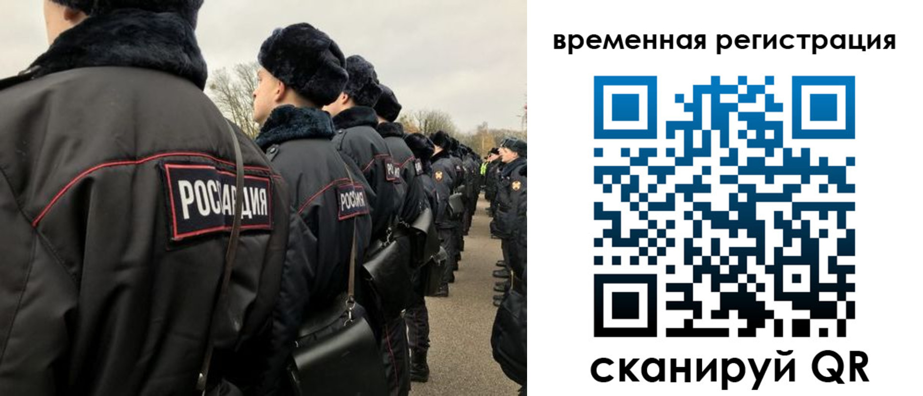 прописка гарантия в Палласовке